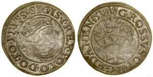 Polska, grosz, 1538, Gdańsk