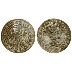 Poland, sheląg, 1547, Gdansk