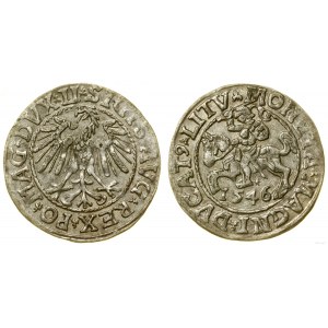 Polska, półgrosz, 1546, Wilno