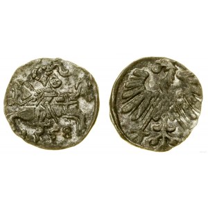 Poland, denarius, 1558, Vilnius