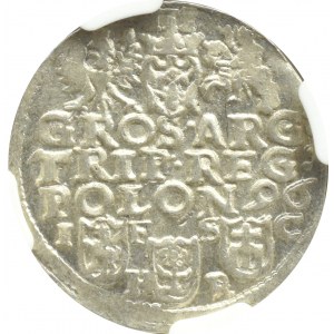 Zygmunt III Waza, trojak 1596, Bydgoszcz, NGC MS62