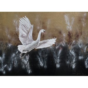 Mariola Świgulska, Swan Flight, 2023