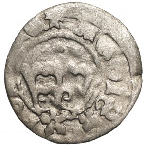 Jan Olbracht - Crown half-penny - Cracow Coat of arms Poraj