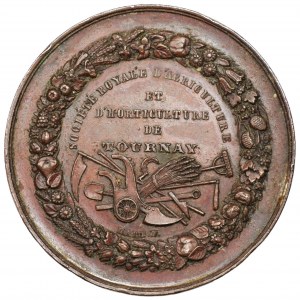 BELGIUM Leopold II - medal from agricultural exhibition ( n.d. 1865-1909)