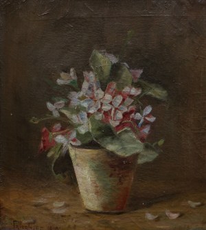 Frans Verbaet, Kwiaty w doniczce