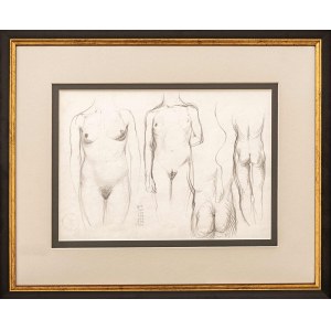 Franciszek Starowieyski, Two-sided sketch - nudes
