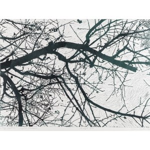 Dariusz Syrkowski (geb. 1966), Mein Apfelbaum aus der Serie Ahornbaum, 2019