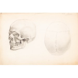 Jan Styka (1858 Lviv - 1925 Rome), Study of a skull