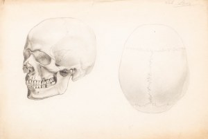 Jan Styka (1858 Lwów - 1925 Rzym), Studium czaszki