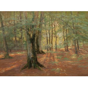 Carl Rathjen (1855-1919), Wald