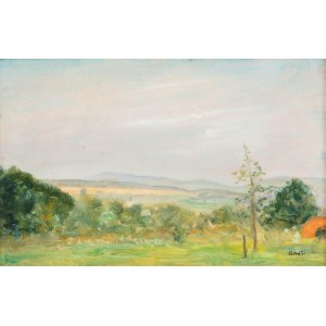 Irena Weiss genannt Aneri (1888 Łódź - 1981 Kraków), Landschaft, um 1965.