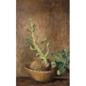 Irena Weiss called Aneri (1888 Lodz - 1981 Krakow), Flowering cabbage, 1957.