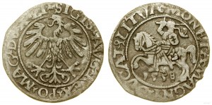 Polska, półgrosz, 1558, Wilno