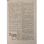 ILUSTROWANA ENCYKLOPEDIA POWSZECHNA N-Z Wyd.1937