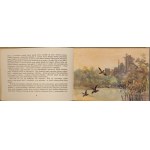 LIEBFELD Alfred - Příběhy mladých ocelářů Ilustrace STYCZYŃSKI