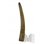 Replica walrus tusk Charles W. Morgan 1842