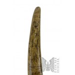 Replica walrus tusk Charles W. Morgan 1842