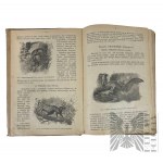 II RP - Knižné novinky zo zoológie pre nižšie stredné školy. Ľvov 1920