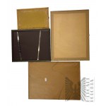 Set of 4 Pieces of Framed Pictures