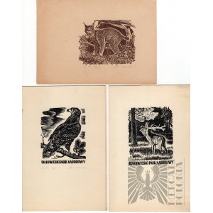 Set of Graphics with Animal Motif - Yaroslav Kirilenko