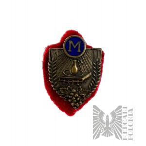 Altar Server Badge