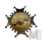 Badge of the 10th Infantry Regiment - copy