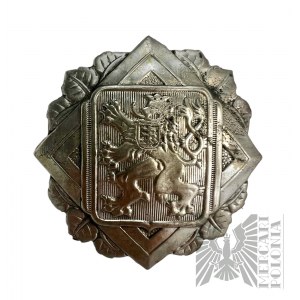 Emblemat na Hełm Strażacki Czechy