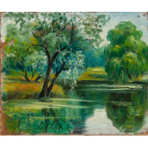 Autor nieokreślony (XX wiek), Drzewa nad jeziorem