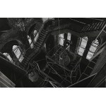 DOMINIK WŁODAREK, Staircase I