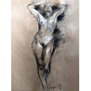 Anita Cempa, Gesetz Nr. 013/2023