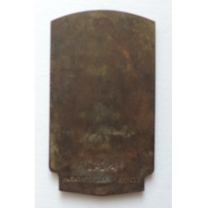 SOKOLSKÉ MEDAILE A PLAKETY, Sokolská plaketa AE 55x95mm litá