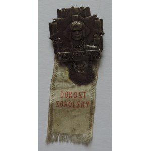 VŠESOKOLSKÉ SLETY - ODZNAKY, VI. všesokolský slet Praha 1912