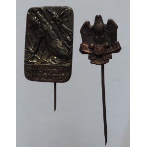 VŠESOKOLSKÉ SLETY - ODZNAKY, VII. všesokolský slet v Praze 1920 2ks