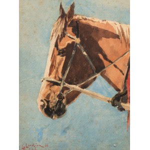 Kopf eines Pferdes, 1906