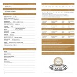 Diament naturalny 0.20 ct Vs2 wyc.1845$