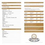 Diament 0.16 ct Si2 wyc.1205$USD