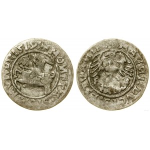 Polsko, litevský půlpenny, 1519, Vilnius