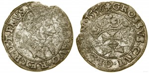 Poland, penny, 1556, Gdańsk