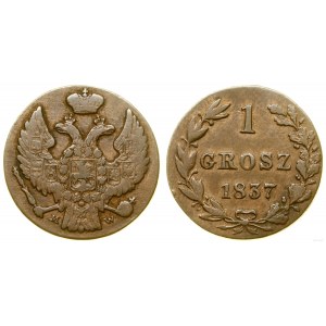 Poland, 1 grosz, 1837 MW, Warsaw