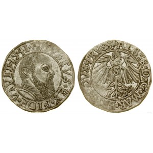 Ducal Prussia (1525-1657), penny, 1541, Königsberg