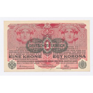 Austria, zestaw 1, 2, 10 i 100 koron. Razem 4 szt. (401)