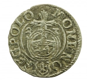 Sigismund III Vasa, Half-track 1623, Bydgoszcz (904)