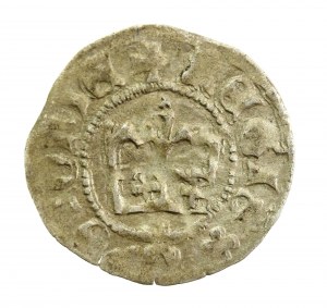 Casimir Jagiellonian, half-penny, Cracow (921)