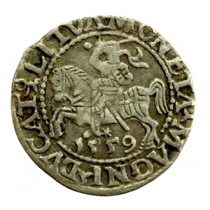 Zygmunt II August, Półgrosz 1559 Wilno, L / LITVA (954)