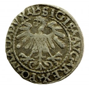 Zygmunt II August, Półgrosz 1559 Wilno, L / LITVA (954)