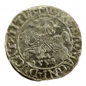 Zygmunt II August, Półgrosz 1558 Wilno, LI / LITVA (1123)