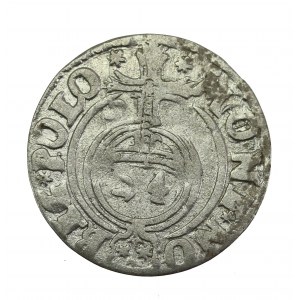 Zygmunt III Waza, Półtorak 162?, Bydgoszcz. Bardzo rzadkie. (1126)