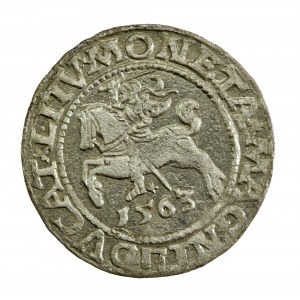Zygmunt II August, Półgrosz 1563, Wilno - L/LITV (1402)