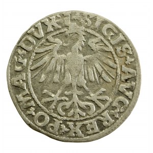 Zygmunt II August, Półgrosz 1550, Wilno - L/LITVA. Rzadkie (1406)