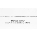 Wojciech Siudmak (nar. 1942), Morské rastliny , inkografia, 2020